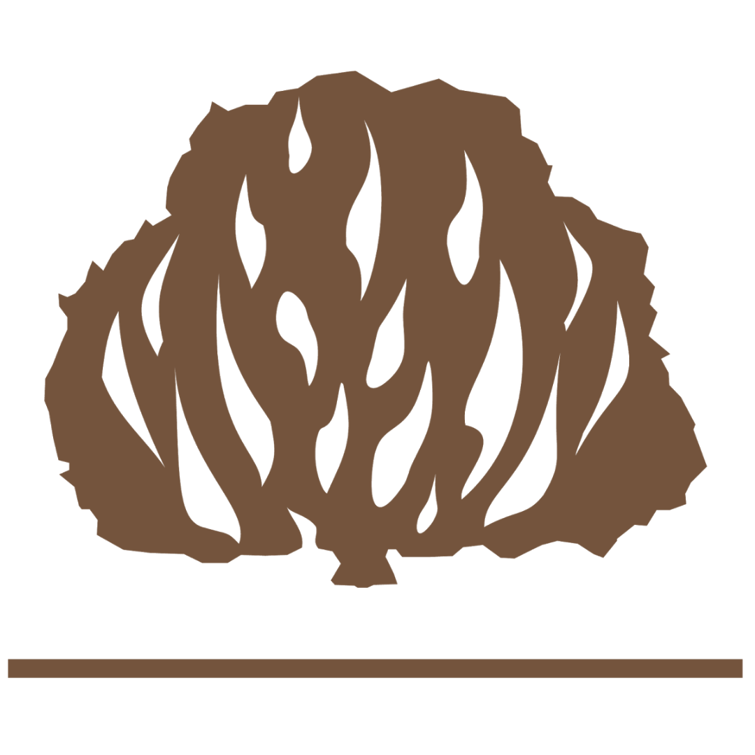 Igreja Presbiteriana de Pitangueiras